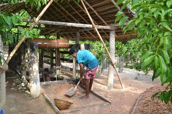 Galle Day Private Tour Beruwala/Bentota/Kosgoda/Ahungalla - The Morning Start: Induruwa Sea Turtle Conservation Project