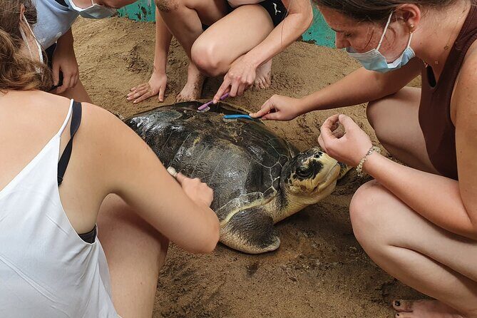 Galle day tour - Colombo to Galle trip - All Included - Beach Lunch and the Southwest Coast Break You’ll Actually Enjoy