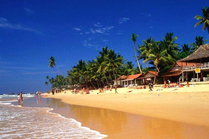 Galle Day Tour from Colombo or Negombo by Private Car , Van with Driver - Stop 3: Kosgoda Sea Turtle Conservation Project (Short Visit, Real Purpose)