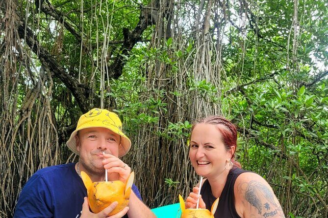 Galle Day Tour with River Safari, Tea Plantation & Sea Turtle - Who this tour is for (and who might skip it)