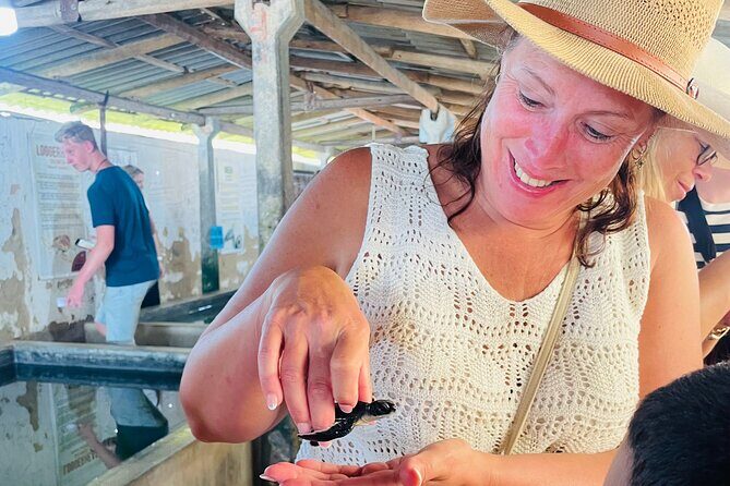 Galle Day Tour with Turtle Hatchery & River Boat Safari - Galle Fort on your timetable: walking the walls without the stress