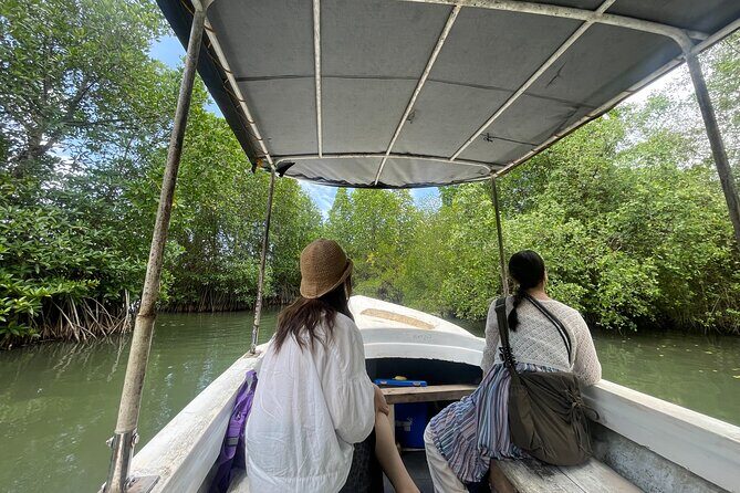 Galle Day Tour with Turtle Hatchery & River Boat Safari - Getting there in comfort: pickup, AC vehicle, and a driver who speaks your language