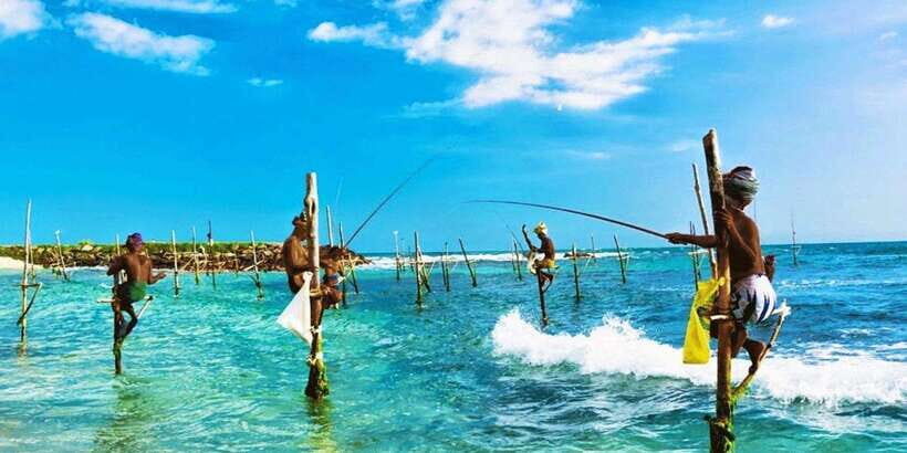 Galle Day Trip - River Safari, Sea Turtle & Stilt Fishermen - Key Highlights You’ll Care About