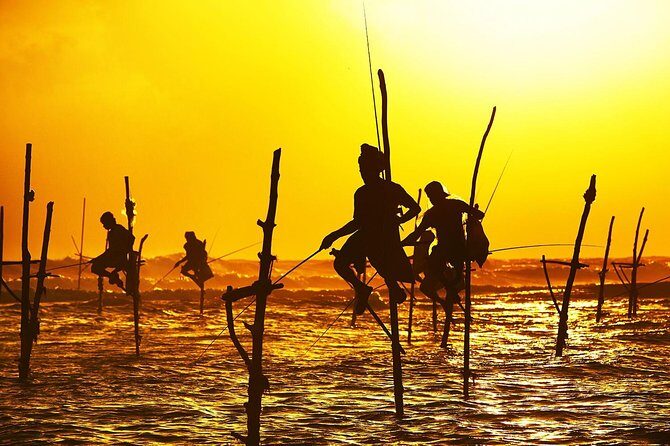 Galle Day Trip & Stilt Fishermen from Koggala - Meeting Milan and getting set up (pickup, vehicle, tickets)