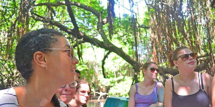 Galle Day Trip with River Safari, Sea Turtles & Tea Factory - A 9-hour route that actually makes sense for first-timers