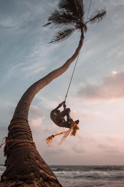 Galle Fort, Bentota, Hikkaduwa Beach: Day Tour from Colombo - Stilt fishermen photo stop: quick, iconic, and very local