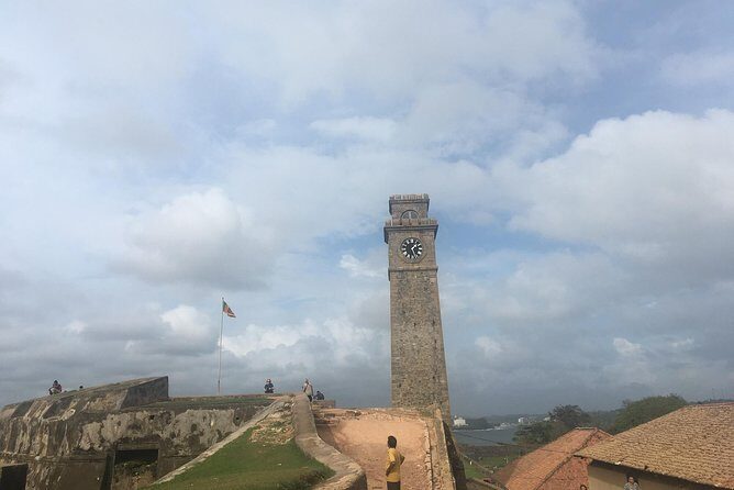 Galle Fort & boat safari & Turtles Day Trip - Bentota River boat safari: what wildlife spotting can be like
