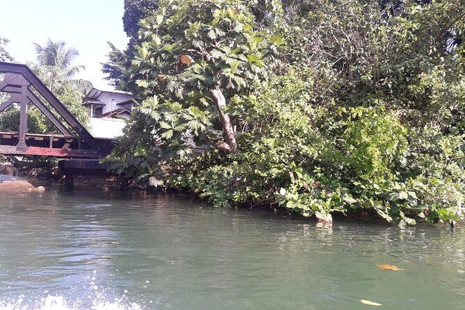 Galle Fort, Turtle, - Private Day Tour From Negombo or Colombo - Madu wetlands and River Madu: your driver-guide shapes the nature stops