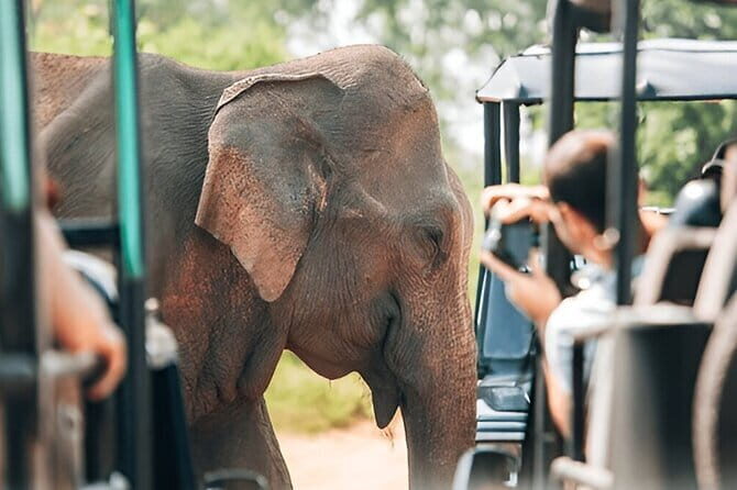 Galle/Mirissa/Tangalle: Transfer to Ella & Yala/Udawalawa Safari - The transfer part that people forget to plan: comfort, timing, and safety