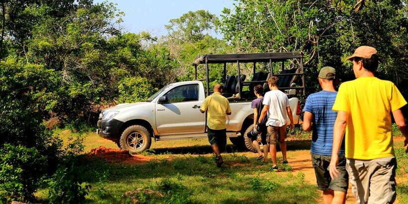 Galle/Mirissa/Tangalle:Udawalawa Safari & Elephant Orphanage - Udawalawe National Park Jeep Safari: How You’ll Actually Spot Wildlife