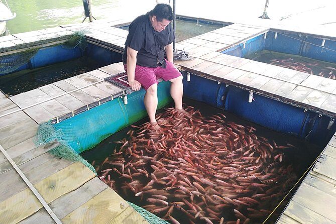 Galle Sightseein Rickshaw Tour - Stop 3: Koggala Lake boat safari to Cinnamon Island