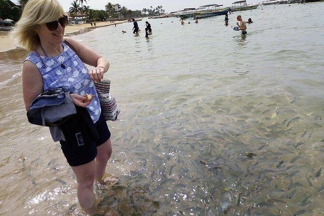 Glass Bottom Boat Tour and Snorkeling Hikkaduwa - Meeting Point and Getting There Without Stress