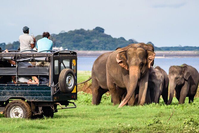 GO WILD! Double Safari Day Trip (Yala & Udawalawe) - Private & All Inclusive - Two parks in one marathon day: what the long hours really buy you