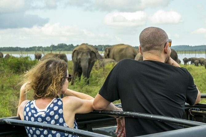 GO WILD! Double Safari Day Trip (Yala & Udawalawe) - Private & All Inclusive - Lunch, bottled water, and the private jeeps: the comfort side of a big day