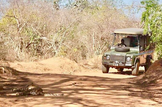 Guided Leopard Safari in Yala National Park in a Land Rover Defender - How the Guide Tracks Leopards (Without Guesswork)