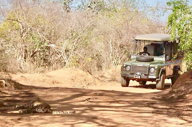 Guided Leopard Safari in Yala National Park in a Land Rover Defender - What’s Included, What’s Extra, and What That Saves You