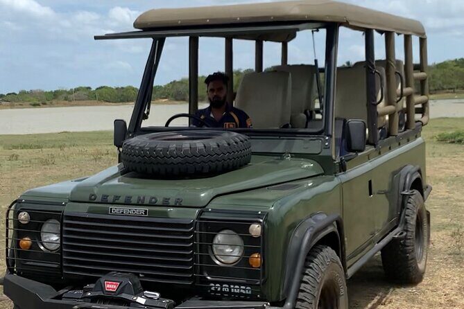 Guided Leopard Safari in Yala National Park in a Land Rover Defender - Photography and Viewing Tips That Actually Matter