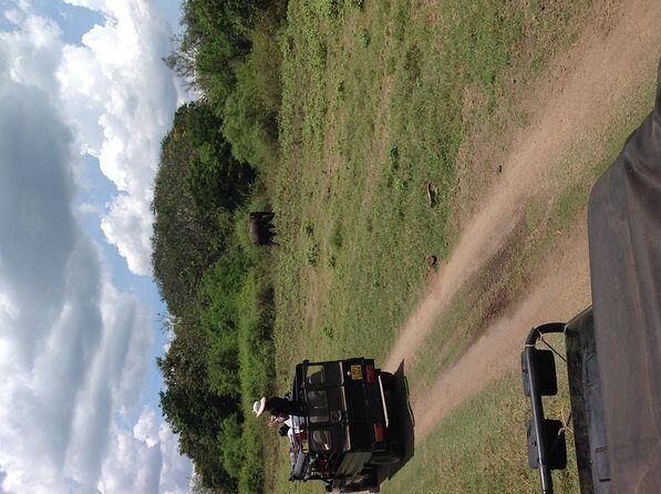 Half Day - Minneriya National Park Safari Tour From Habarana/Sigiriya - Why Minneriya elephant time is worth a half day
