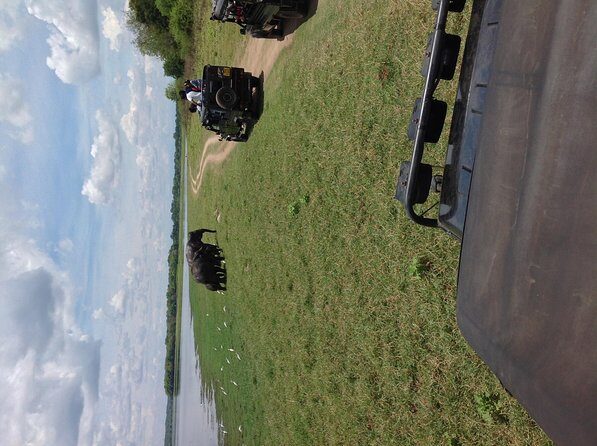 Half Day - Minneriya National Park Safari Tour From Habarana/Sigiriya - The 4x4 safari in Minneriya: what the “about 4 hours” really means