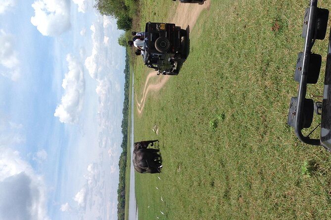 Half Day - Minneriya National Park Safari Tour From Habarana/Sigiriya - Price and value: $35.83 makes sense, once you budget for extras