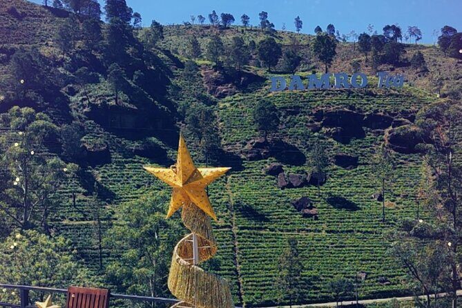 Half-Day Private Trip to Waterfalls and Tea Factory - Damro Labookellie Tea Centre: factory tour and plantation tea
