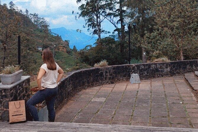Half-Day Private Trip to Waterfalls and Tea Factory - Should you book this half-day in Nuwara Eliya?