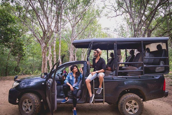Half Day Safari at Yala National Park with Lunch - Palatupana Pickup: Comfort, Timing, and What You’ll Actually Do