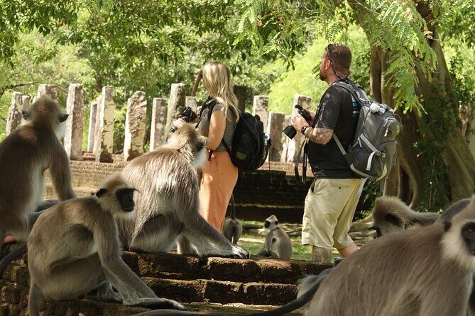 Half Day Safari Guided Tour - Stop 3: Udawalawe National Park for elephants (and why the survey matters)