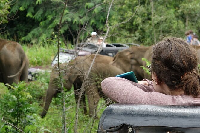 Half Day Safari Guided Tour - Stop 4: Elephant Transit Home (ETH) for young elephants and ethical context