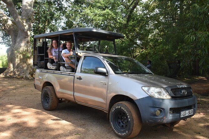 Half Day Safari Guided Tour - Price and what’s included: is $89 a good value?