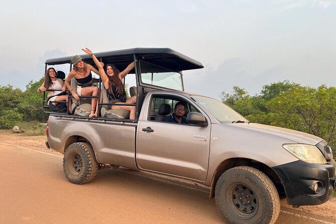 Half Day Safari Guided Tour - When this tour makes the most sense