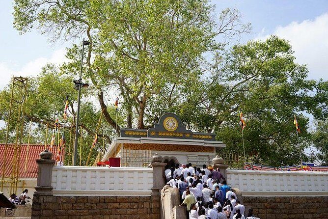 Half day tour - in Sacred city of Anuradhapura Or sacred city of Mihintale. - The 8:30 start, quick tempo, and where you begin