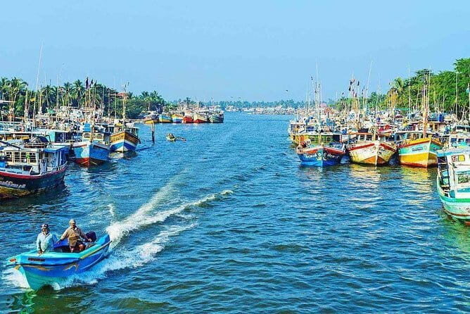 Half Day Tour to Muthurajawela, Lagoon, Dutch Canal and Mangroves - Stop 1: Muthurajawela Marsh and the boat ride start