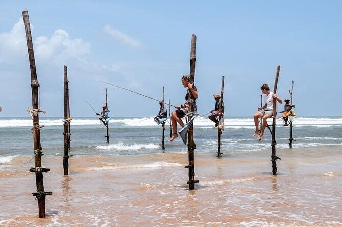 Half Day trip in Yala National Park - Binoculars in Yala: worth using from minute one