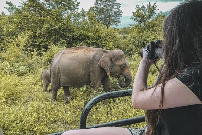 Half Day Udawalawe Safari (Entrance + Lunch) - Key things worth knowing before you go