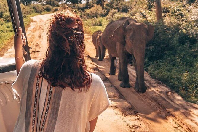 Half Day Udawalawe Safari (Entrance + Lunch) - What to pack and wear for an Udawalawe jeep safari