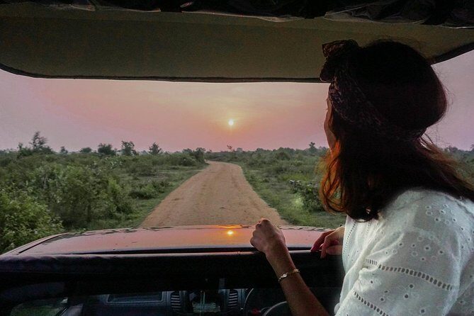 Half Day Udawalawe Safari from Kalutara (Entrance + Lunch) - What to pack and wear so the day stays easy