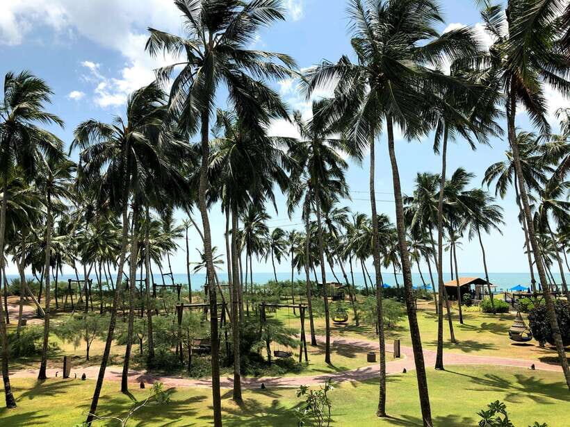 Hambantota Shore Excursion: Village and Cultural tour - Your guide and language: what to expect and how to get value