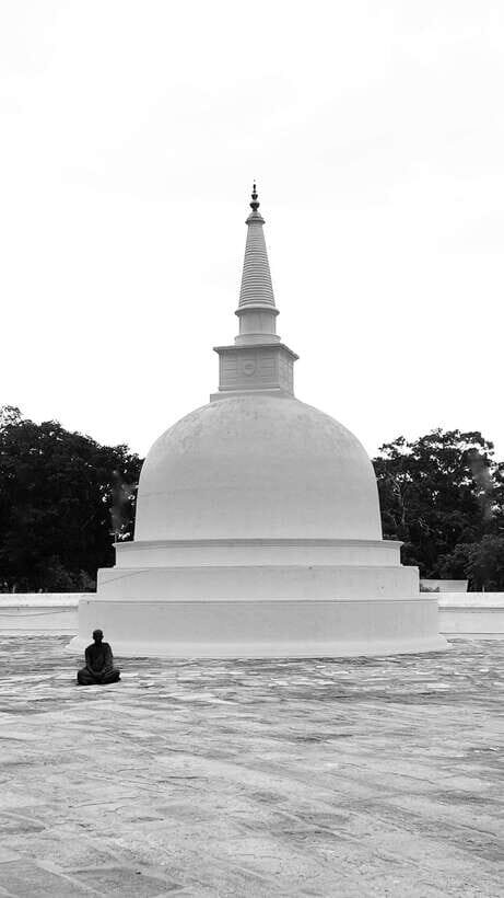 Hambantota Shore Excursion: Village and Cultural tour - Price and value: is $60 a fair deal for Hambantota?