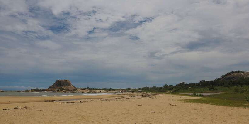 Hambantota: Yala National Park Wildlife Safari in a 4x4 - Money and Small Print: The Entry Fee You Must Budget