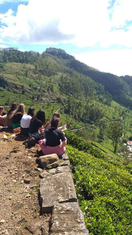 Haputale:Glorious Tuk Tuk Ride to Lipton'sSeat & Tea Factory - Tea Plucking and a Picnic in the Plantation: The Part That Feels Real