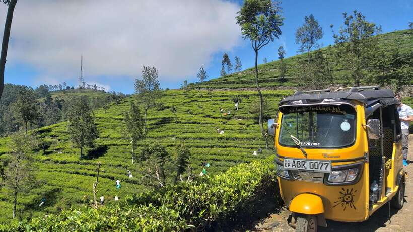 Haputale:Glorious Tuk Tuk Ride to Lipton'sSeat & Tea Factory - Who This Tour Suits Best (and Who Should Rethink It)