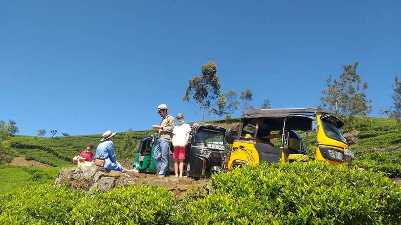 Haputale:Glorious Tuk Tuk Ride to Lipton'sSeat & Tea Factory - Practical Tips That Make the Day Smoother