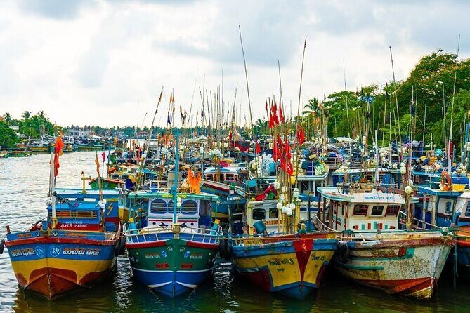 Heritage & Cultural Walk in Negombo - Negombo Lagoon: the calm counterpoint