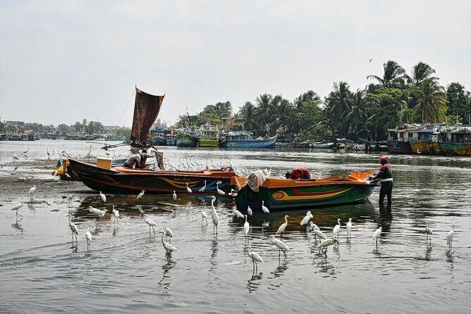 Heritage & Cultural Walk in Negombo - Pickup, private groups, and how to plan your morning
