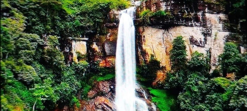 High-Grown Tea & Waterfall Wonders of Nuwara Eliya by tuktuk - Key highlights worth your attention