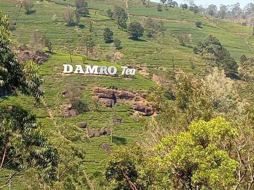 High-Grown Tea & Waterfall Wonders of Nuwara Eliya by tuktuk - Damro Tea Factory: learn the basics, then taste the result