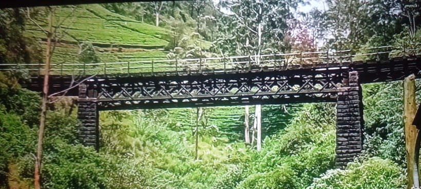 High-Grown Tea & Waterfall Wonders of Nuwara Eliya by tuktuk - Hands-on tea plucking: what it teaches you (and what it doesn’t)