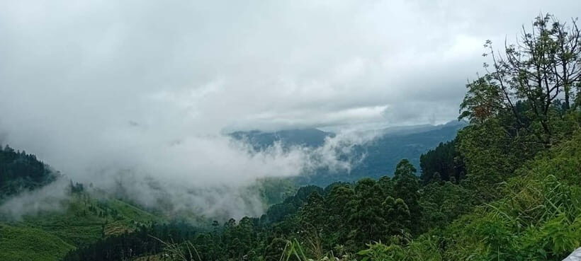 High-Grown Tea & Waterfall Wonders of Nuwara Eliya by tuktuk - Language and guide style: why it matters on a 5-hour tour