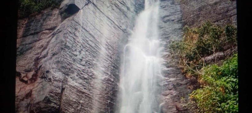 High-Grown Tea & Waterfall Wonders of Nuwara Eliya by tuktuk - Pickup, timing, and how the 5 hours are actually used